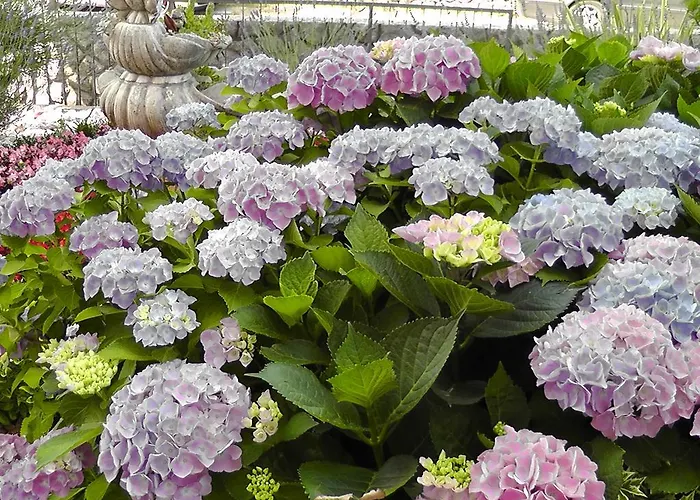 Διαμέρισμα Lavanda 1 *